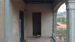 Exterior Window Hood-Pillar’s And Arch Designs