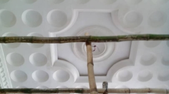 POP Flower Designs With Cornice